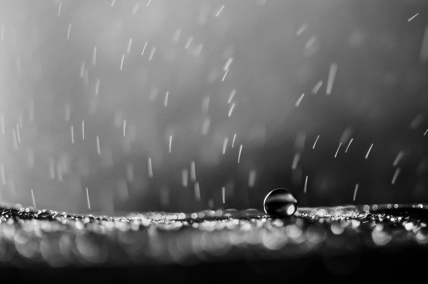 water, macro, light, drops, drop, dandelion, droplet, bokeh,droplets,,reflection, вода, макро_свет, капли, Ивелина Благоева