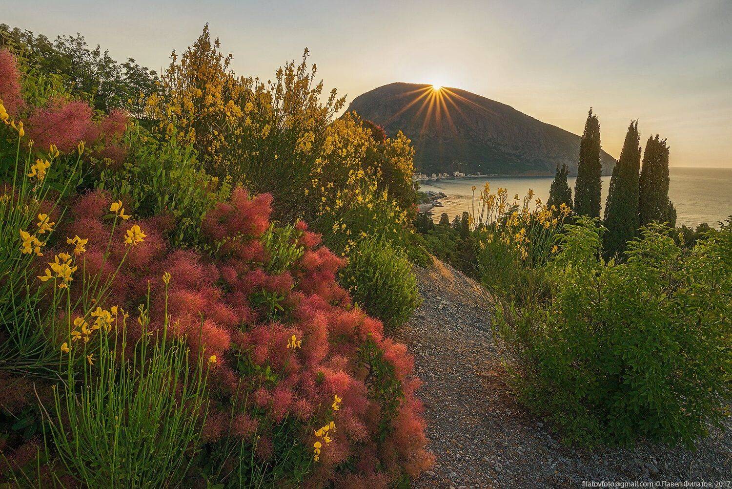 #крым #гурзуф #артек #рассвет #цветение #аю_даг  #павел_филатов #pavel_filatov #filatovpavelaltai, Павел Филатов