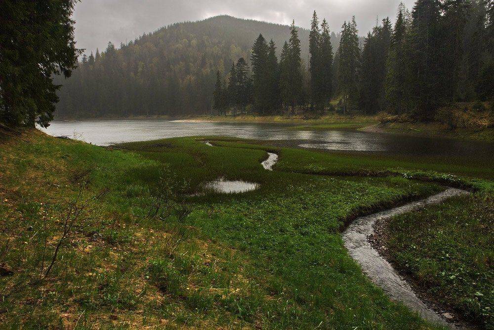 козлов артур, озеро, синевир, карпаты, природа, пейзаж, горы, лес, водоем, Kozlov Artur