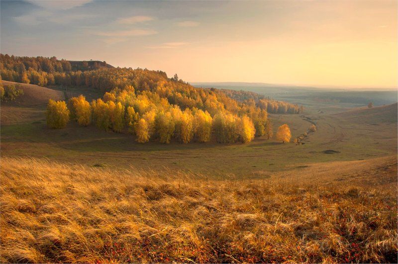 Ре пост фото превью