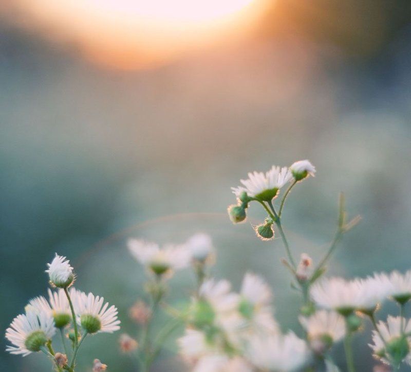 закатная фото превью