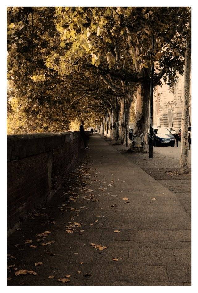 france, toulouse, Lilia Tkachenko