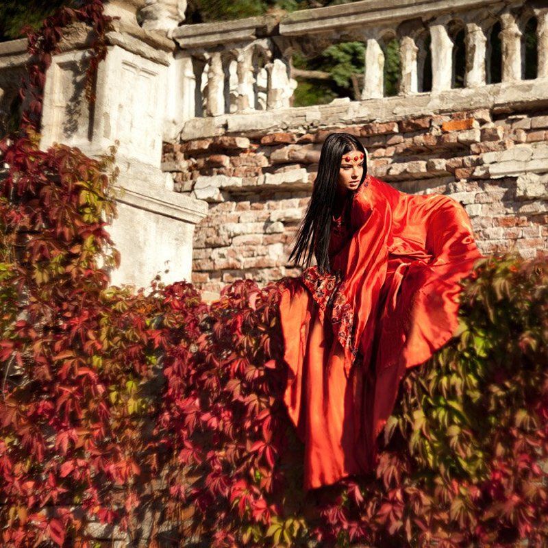 lion d\'incendiephoto preview