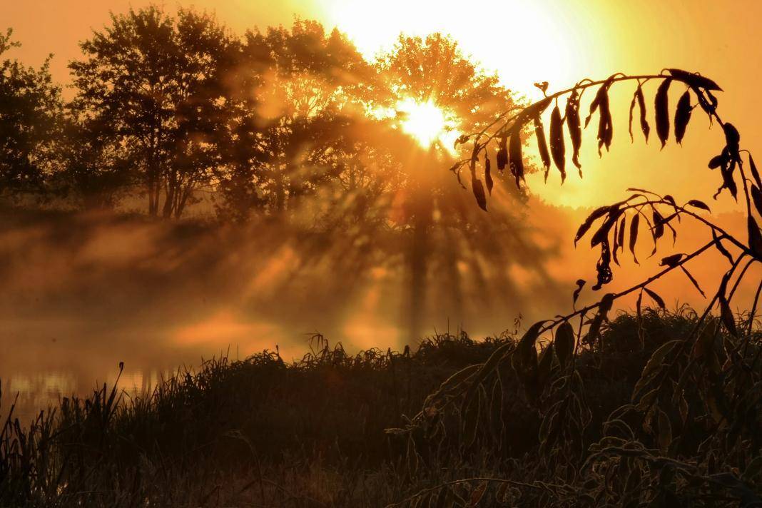 , Валерий Кондратов