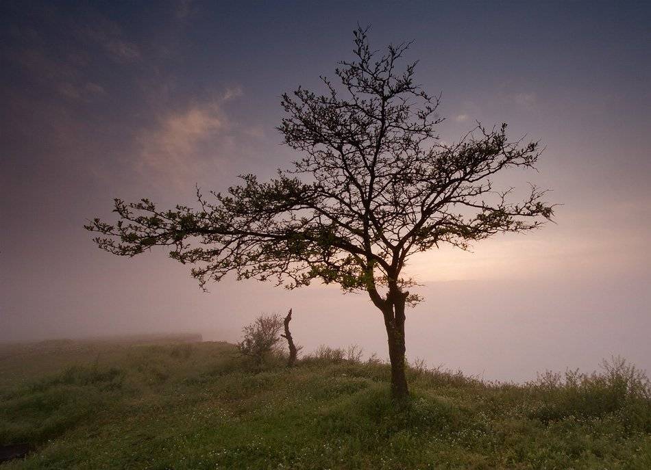 , Сергей Дымченко