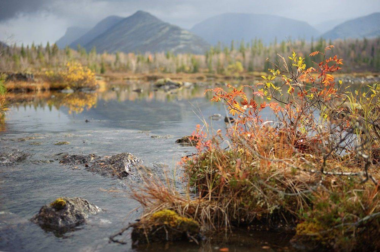 кольский, п-ов, , , хибины, , , осень, Dmitriy Egorov