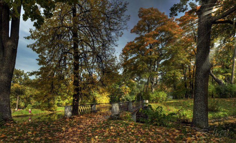 осень, парк, мост В осень ... фото превью