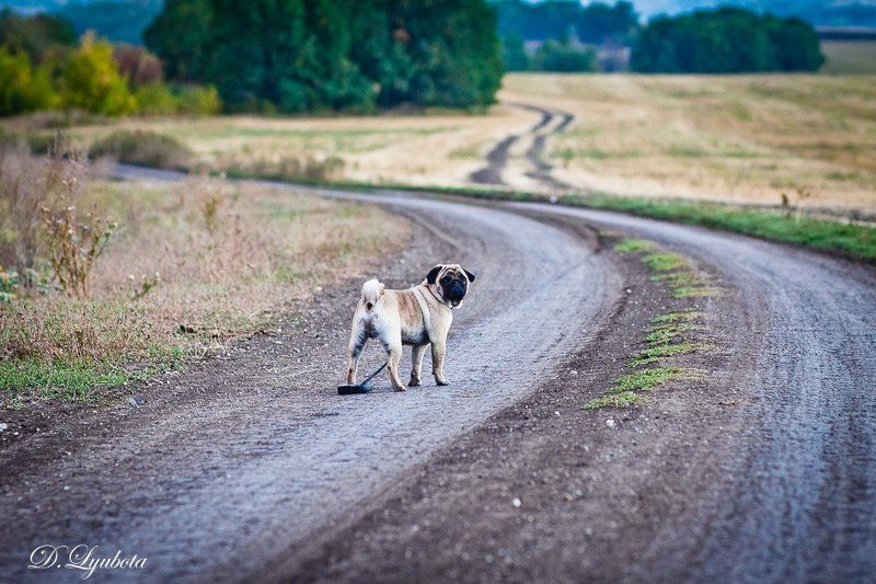точно уйду... фото превью