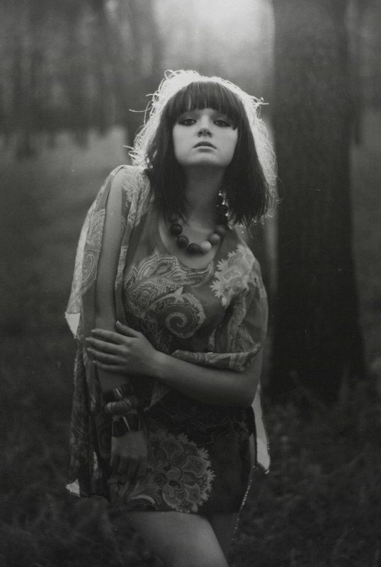 Dark forest фото превью