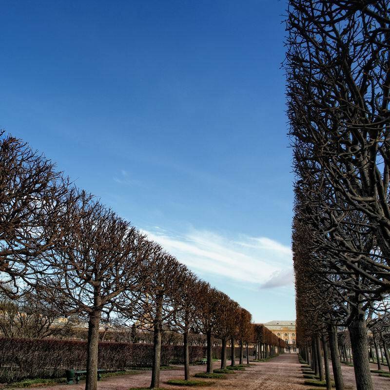 город, парк, николай дмитрук