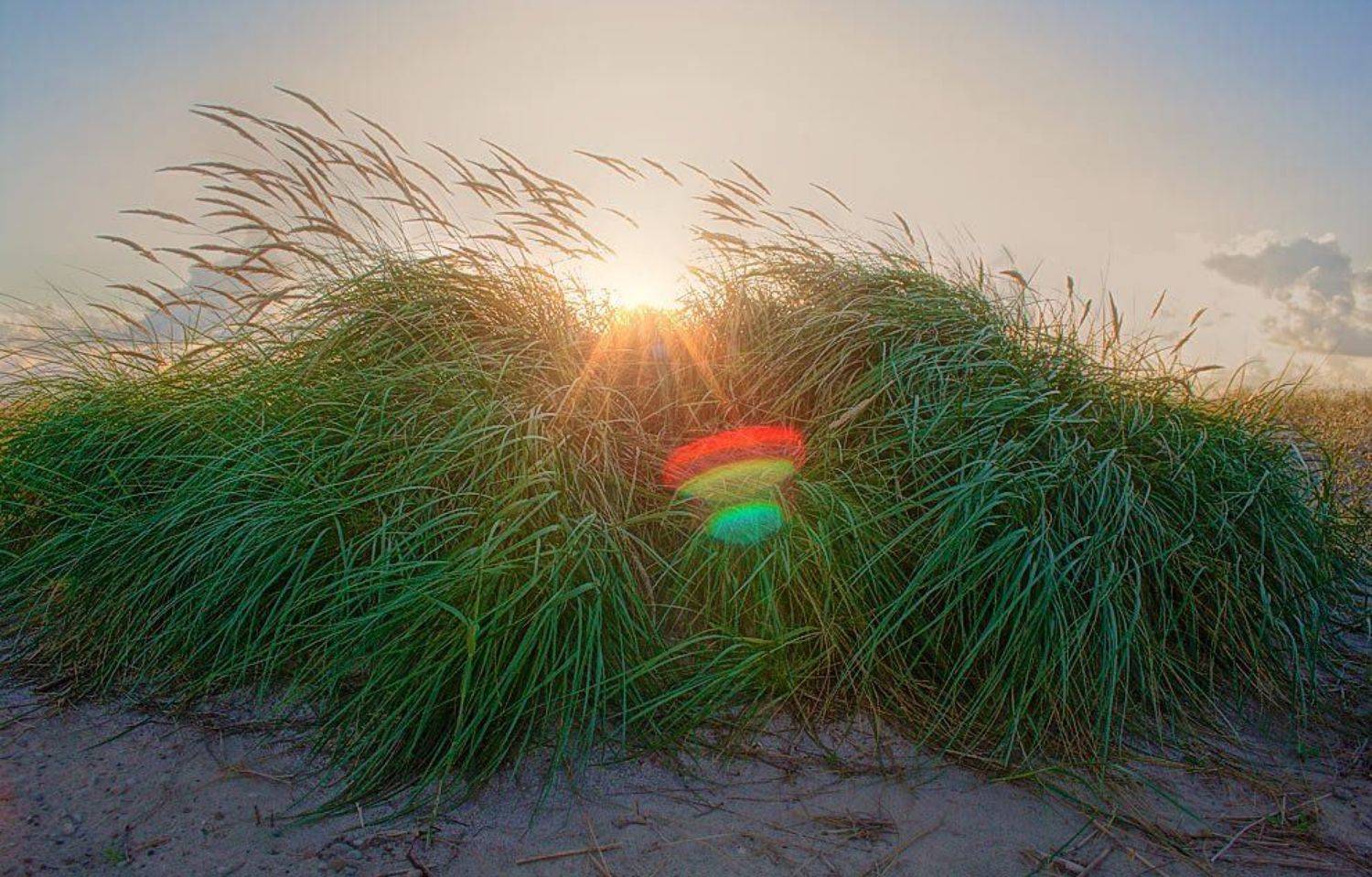 , Рафаэль Александрович Фоменко