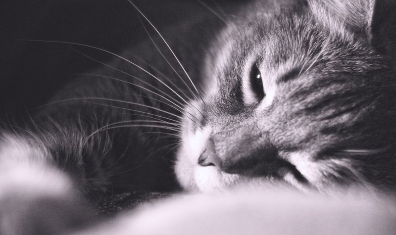 Time to sleep фото превью