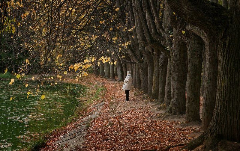 осень, пруд, аллея, одиночество, тишина Осень жизни, как и осень года. фото превью