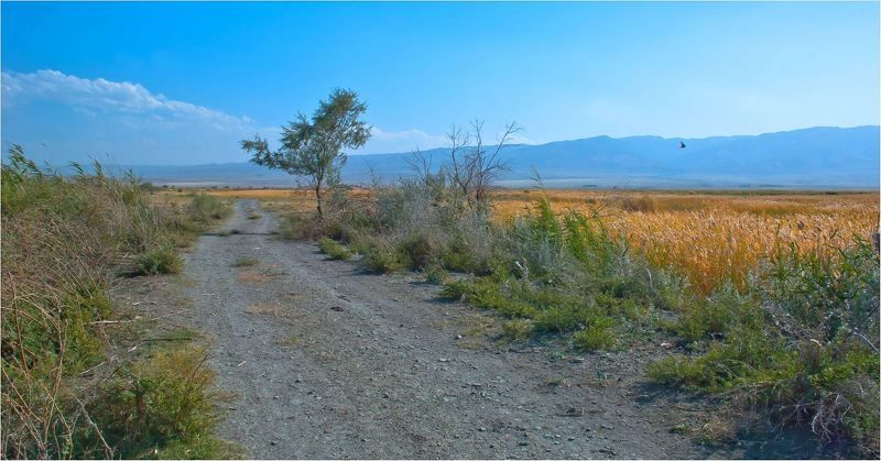 природа Ах это южное...Бабье лето... фото превью