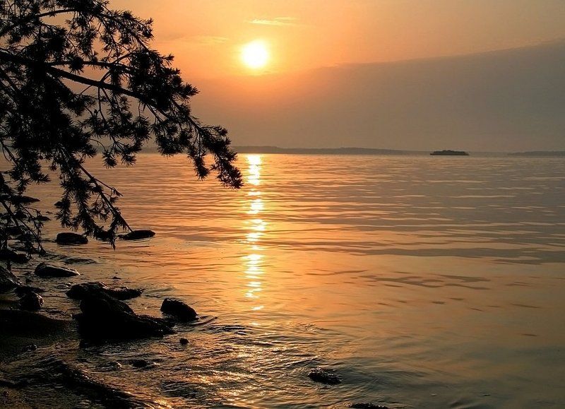 Волга золотая ... фото превью