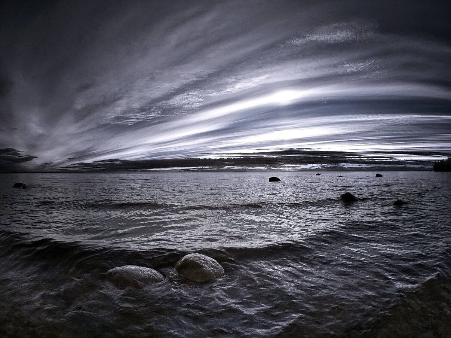 , Максим Евдокимов