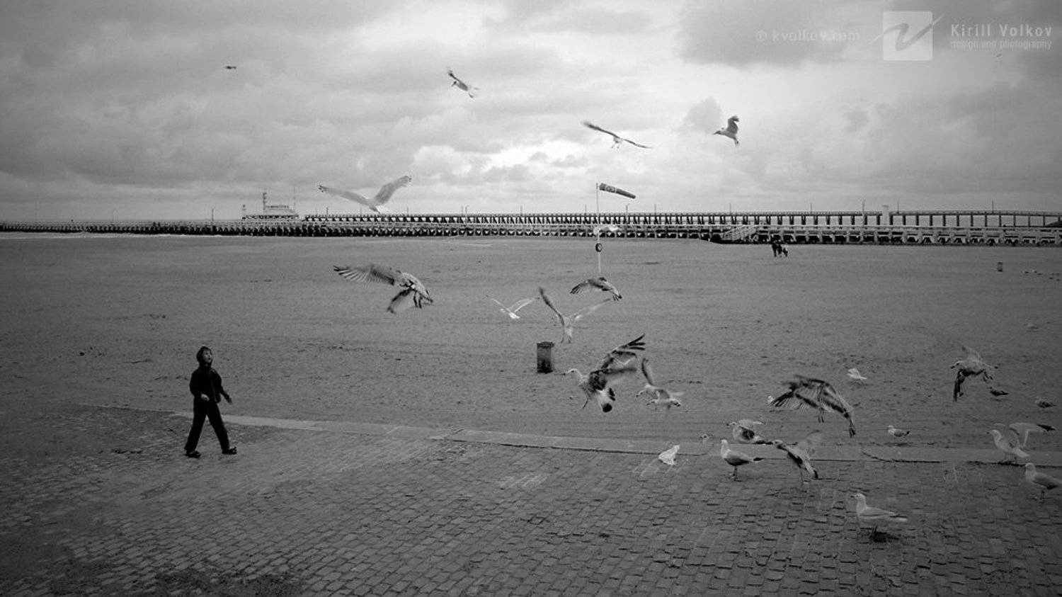 мальчик, чайки, пляж, побережье, северное, море, Кирилл