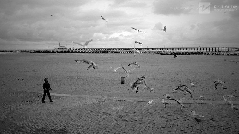 мальчик, чайки, пляж, побережье, северное, море беззащитный фото превью