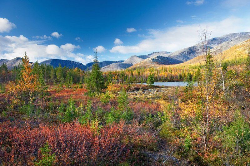 кольский, п-ов, хибины, осень *** фото превью