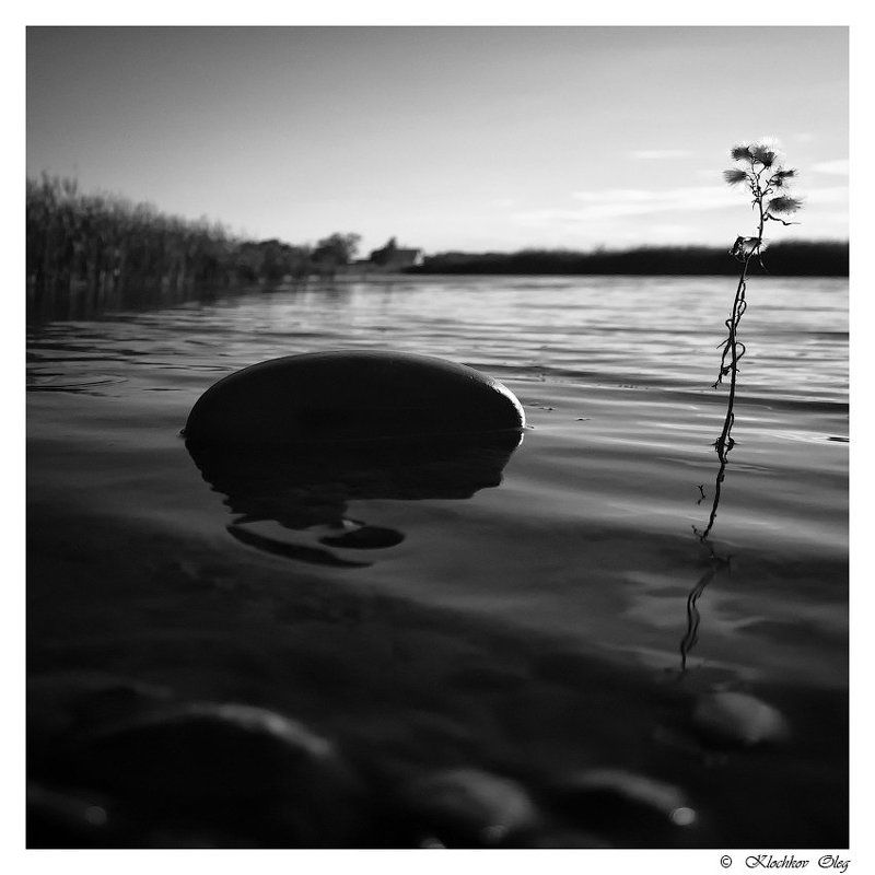 black and white, ч/б, жанр, черное и белое РОМАН С КАМНЕМ фото превью