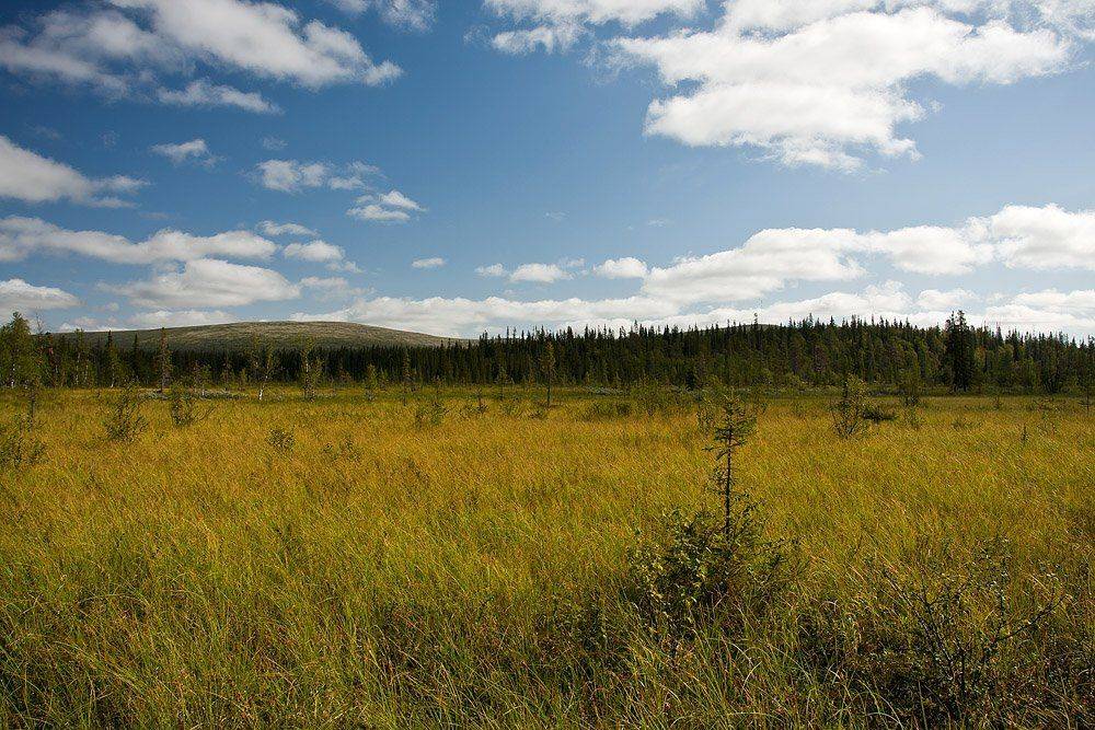 кольский, полуостров, locus