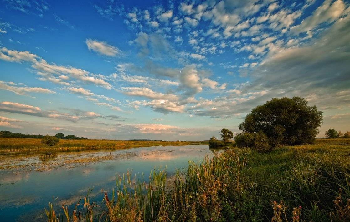 лето, Андрей Балабин