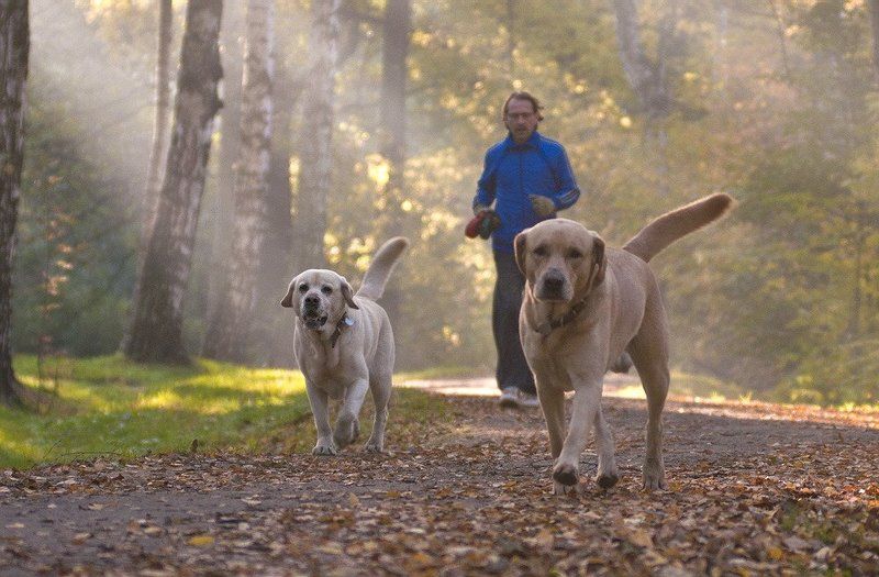 *** фото превью