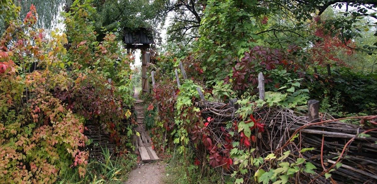 пейзаж, Tina Grach