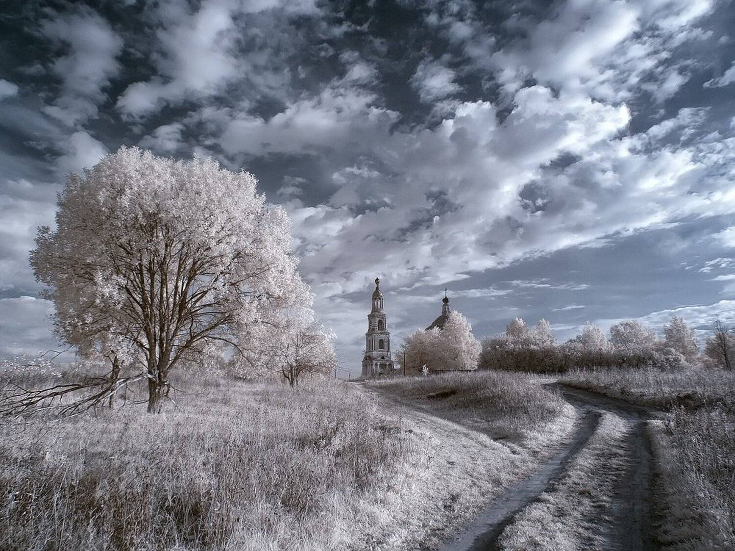 , Максим Евдокимов