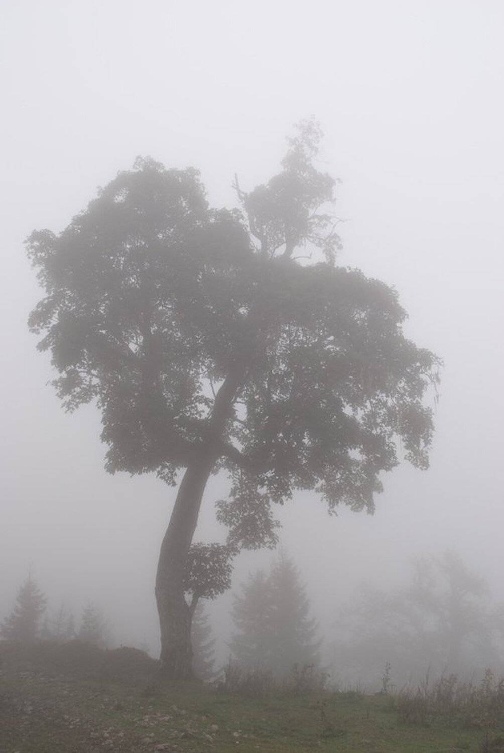 , Павел Бондаренко