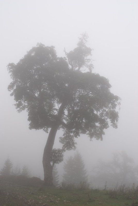 --- фото превью