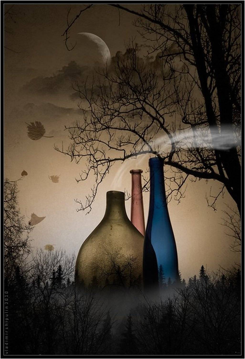 колдун,колдуны,туман,туманы,бутылка,бутылки,владимир,шипулин, Vladim_Shipulin