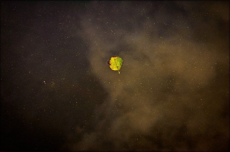 осень, лист Осенний Лист... фото превью