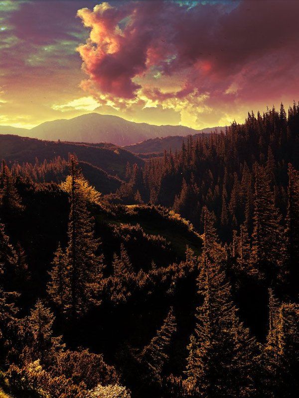 шпыци  фото превью