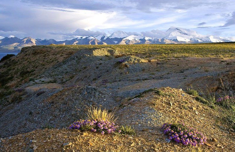 Горное предвечерье фото превью