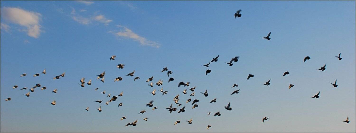 природа, Геннадий Меремьянин