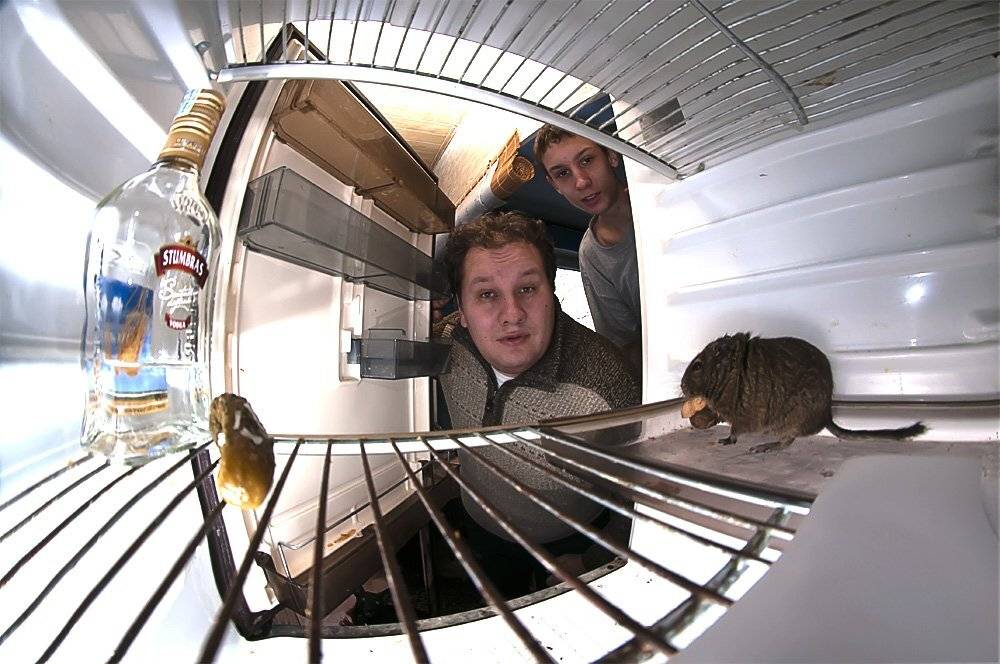 refrigerator, Julius Venskus