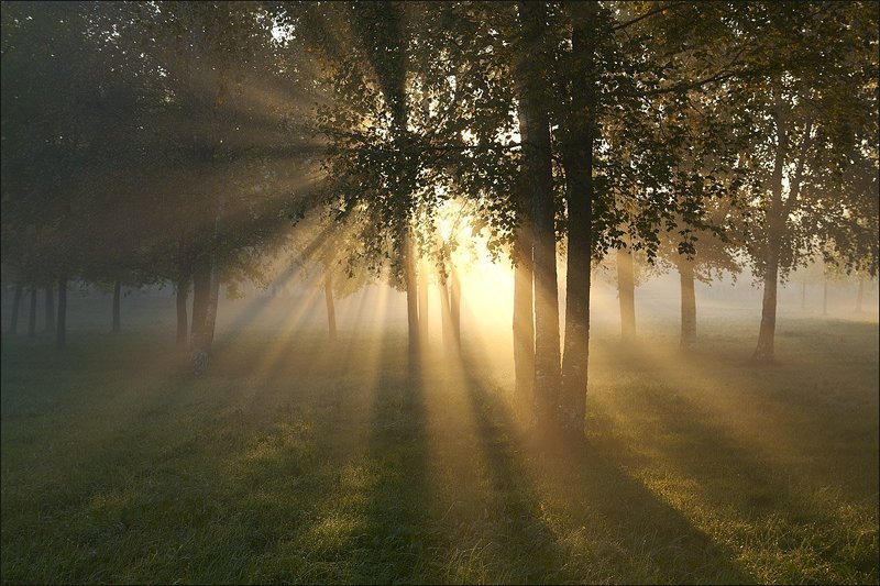 Дальний свет фото превью