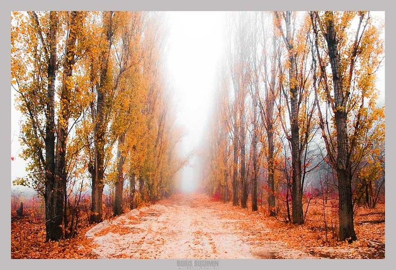 Краски осени фото превью