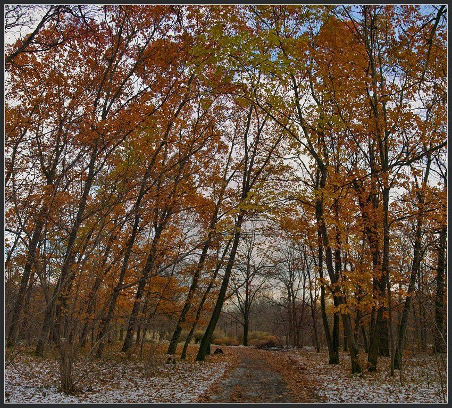 , Вадим Казаков
