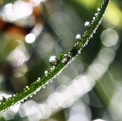 Утреннее волшебство