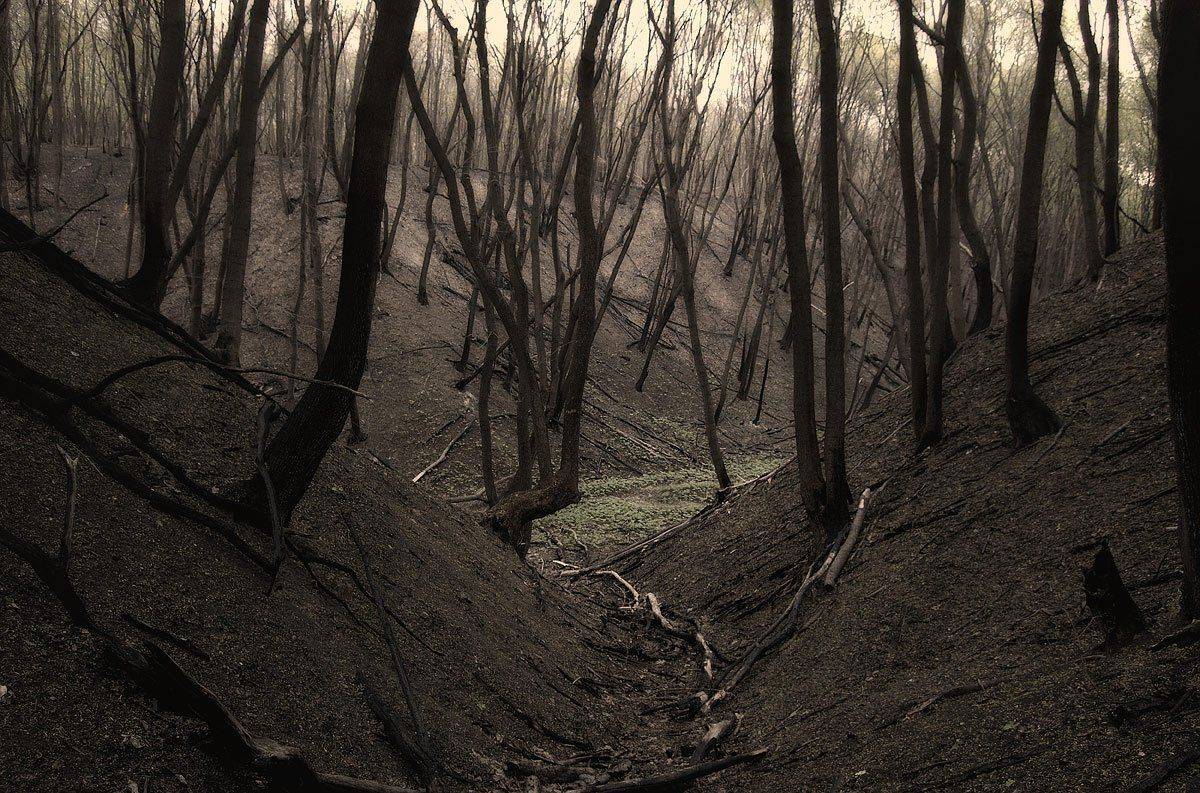 , Дмитрий Журавлев