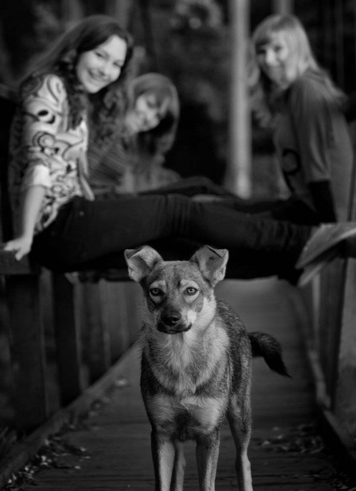 , Александр Титаренко