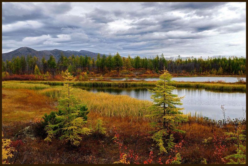 Осеннее торжество фото превью