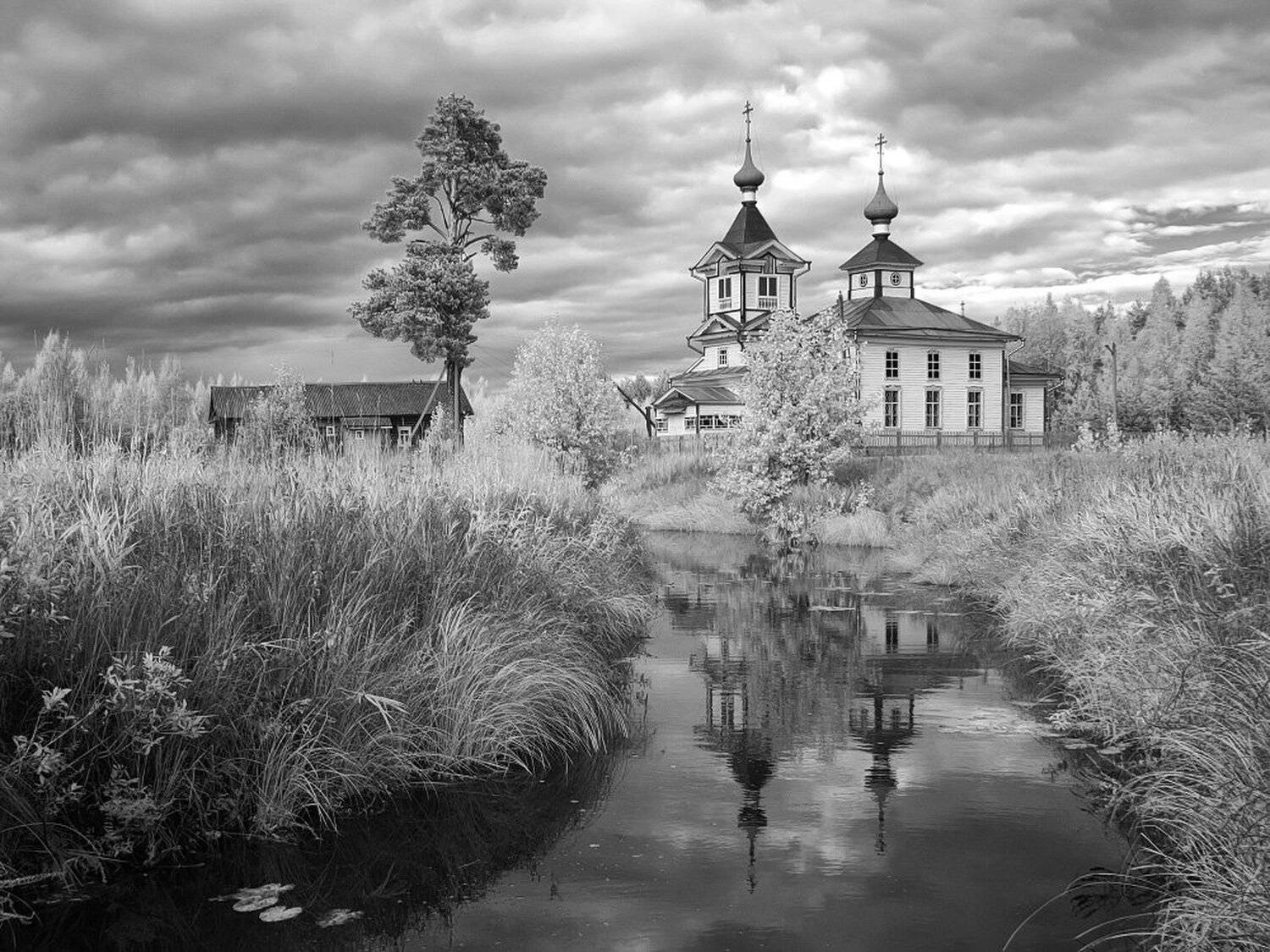 , Максим Евдокимов