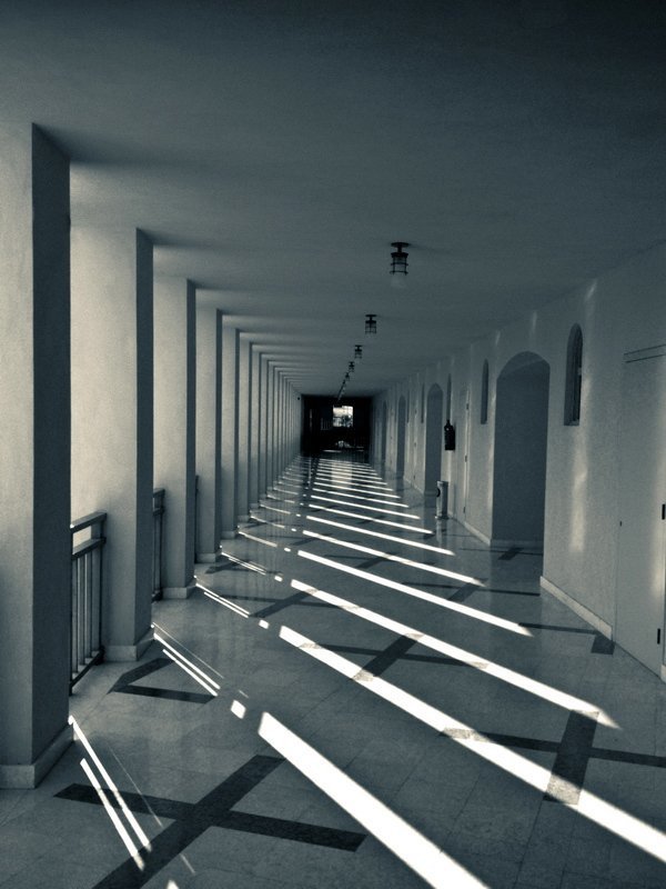 Геометрия. О диагоналях. фото превью