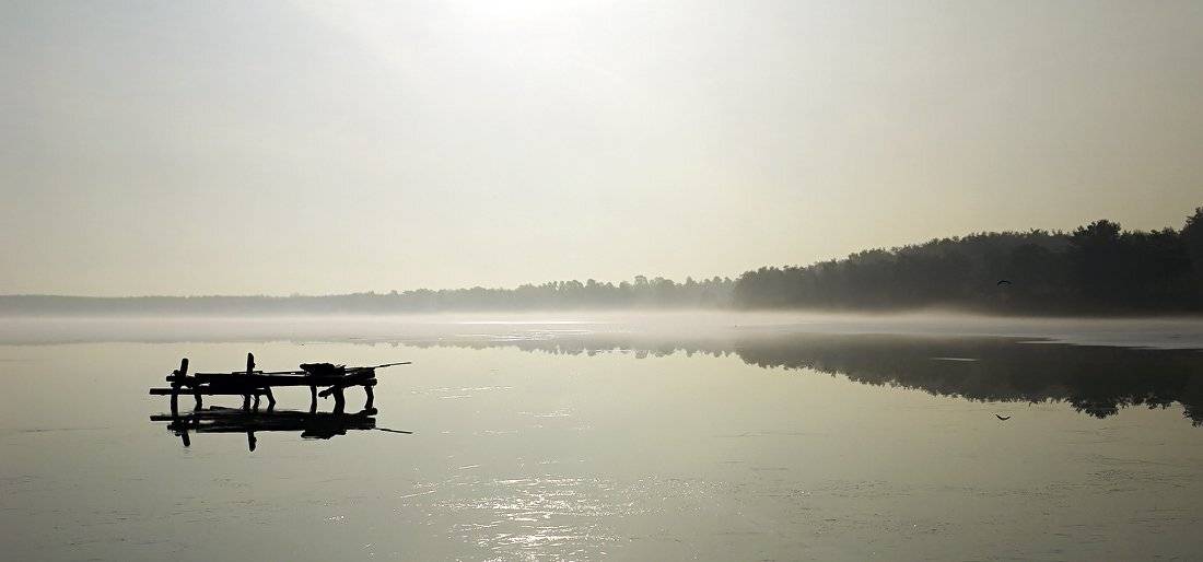 козлов артур, пейзаж, утро, птица, озеро, Kozlov Artur
