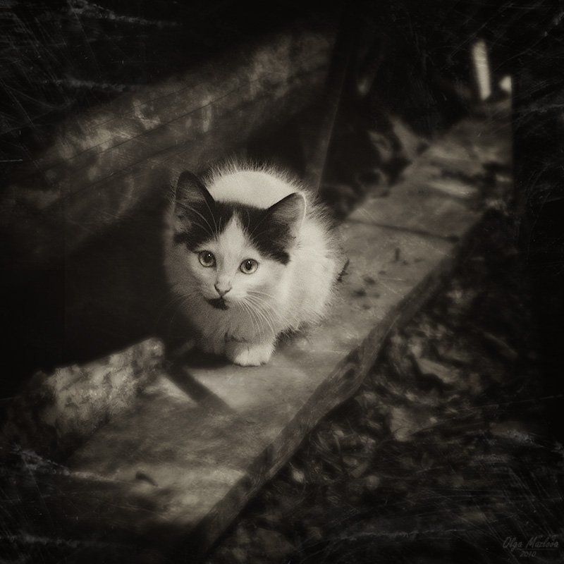 ... фото превью
