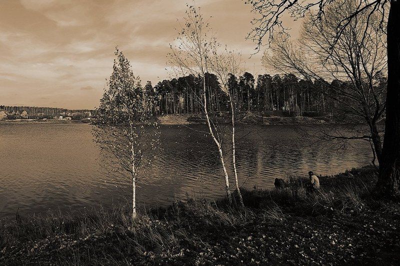 Осень белой вороны (2008) фото превью