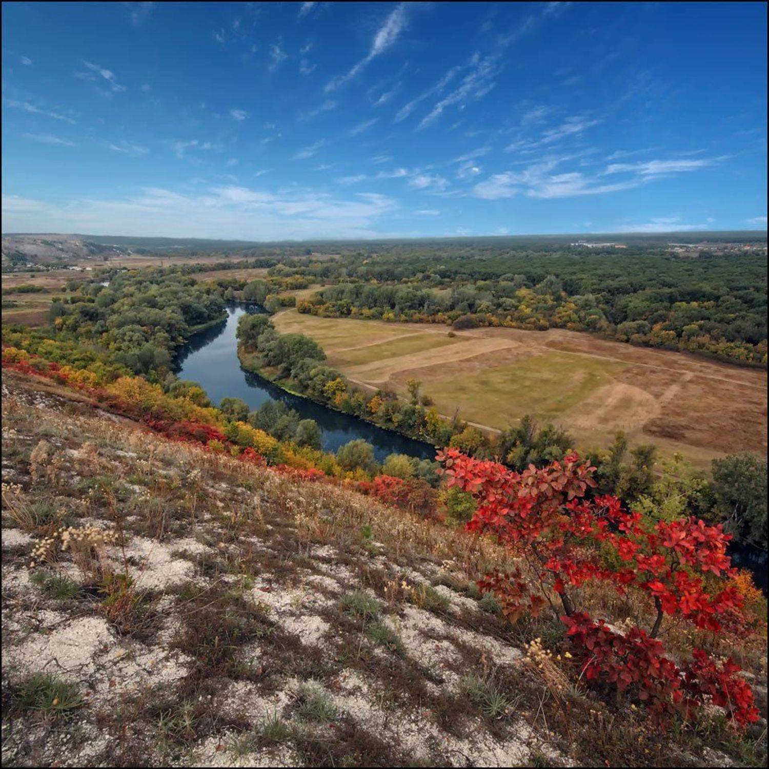 степной, заповедник, , \"меловая, флора\", Аркадий Московченко